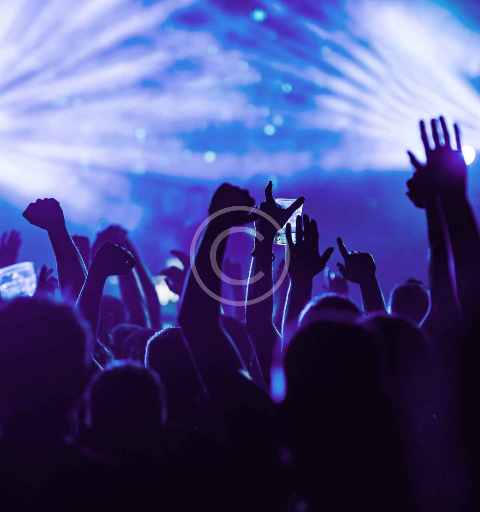 Publico en fiesta nocturna